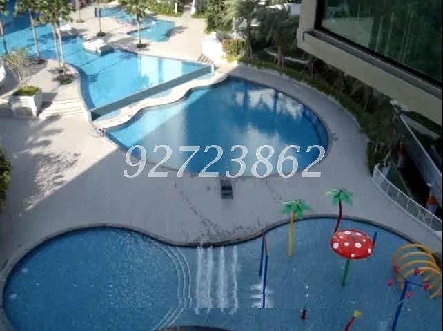 Tree House thumbnail photo